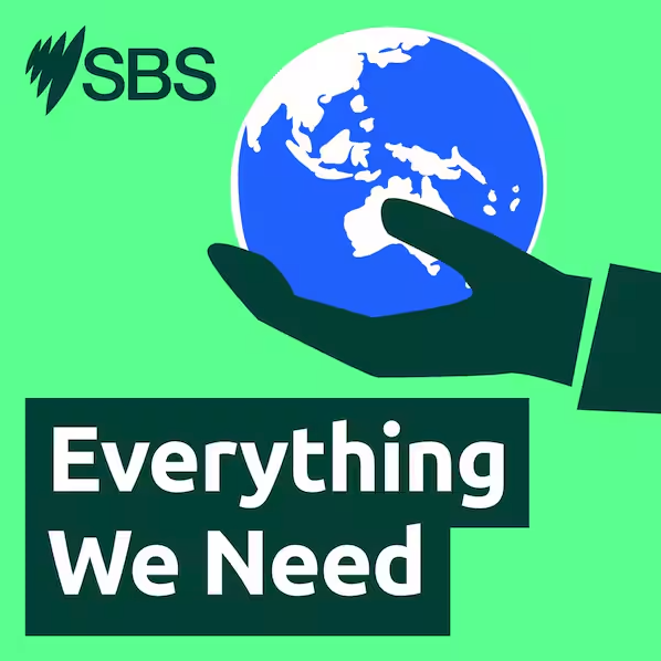 Everything We Need by SBS Audio
