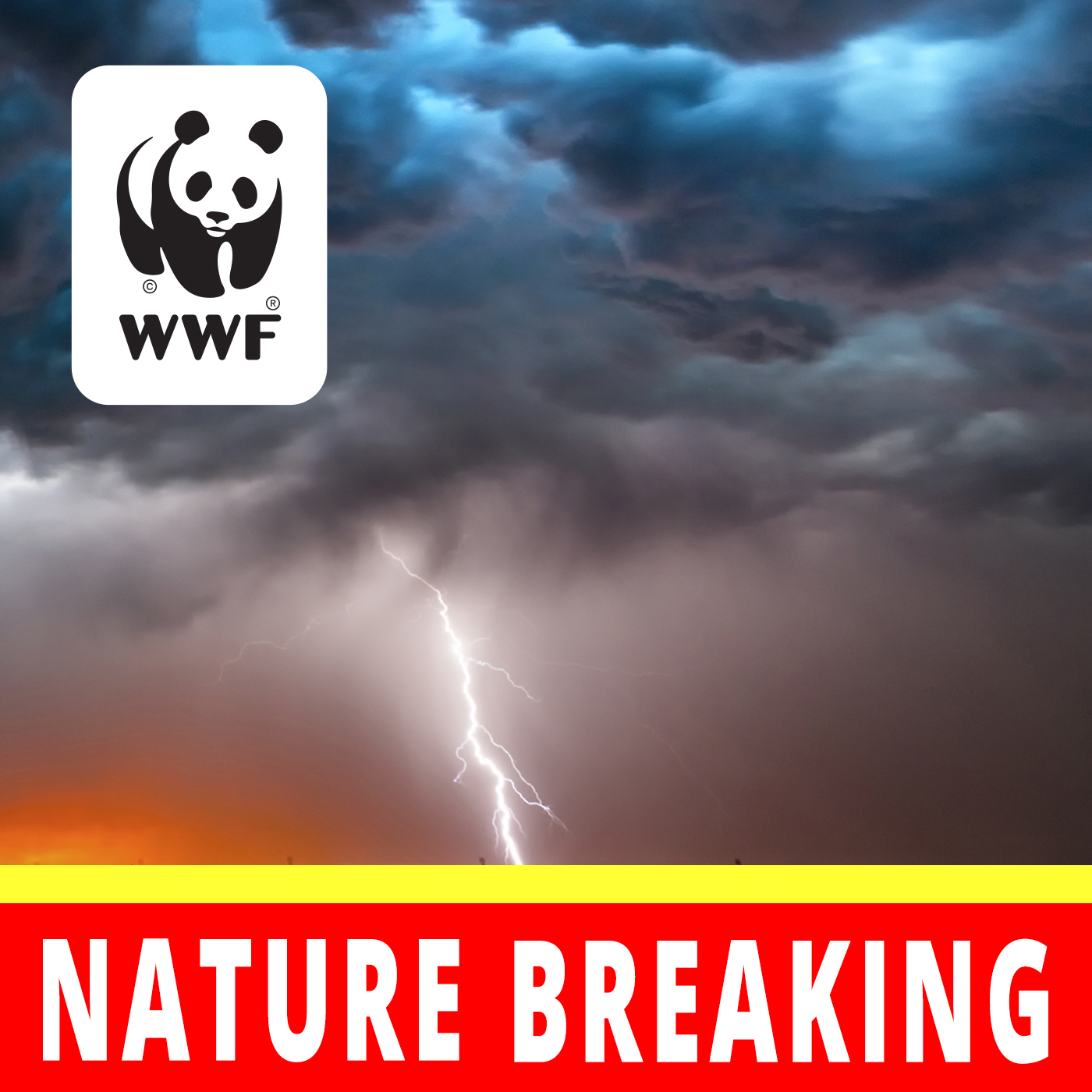 Nature Breaking by World Wildlife Fund - US
